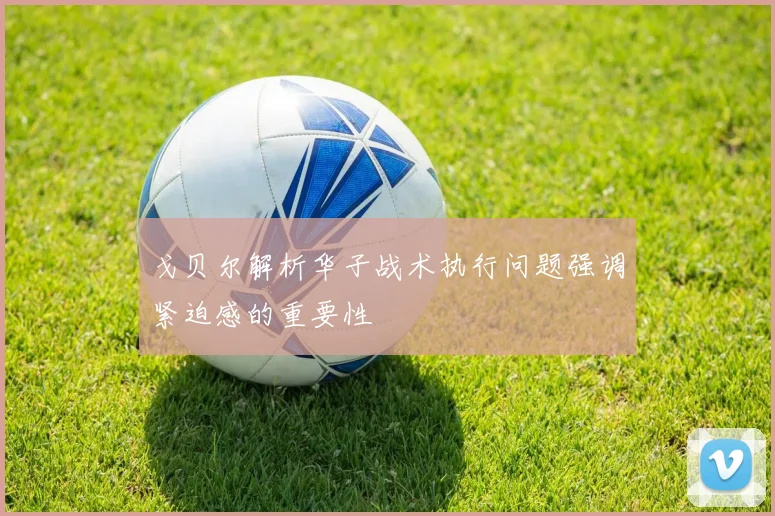 戈贝尔解析华子战术执行问题强调紧迫感的重要性